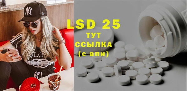 прущие грибы Беломорск