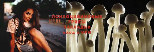 прущие грибы Беломорск