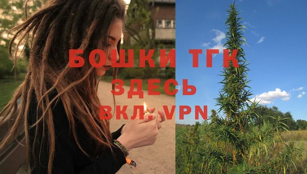 эйфоретик Богородицк