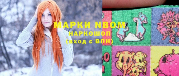 прущие грибы Беломорск