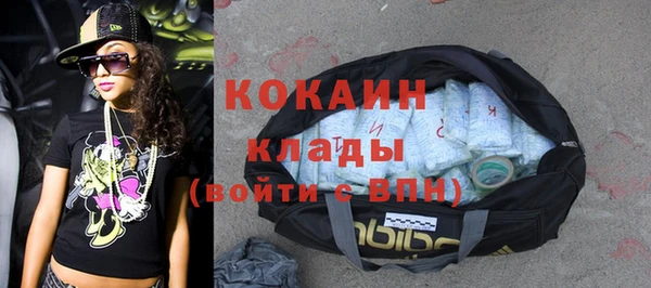 прущие грибы Беломорск