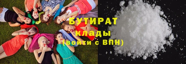 прущие грибы Беломорск