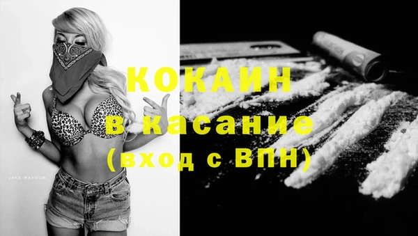 прущие грибы Беломорск