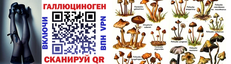 omg сайт  Няндома  Псилоцибиновые грибы мицелий 